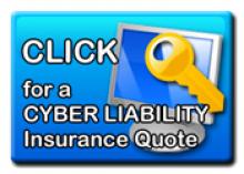 Cyber-Liability Graphic_0